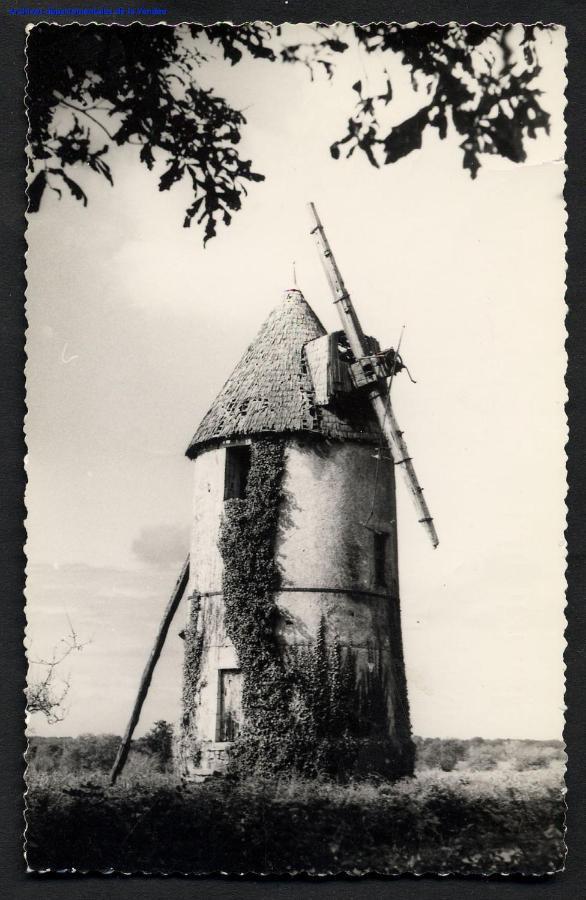 Moulin A Vent Le Champ Du Trail Villa Saint-Cyr-des-Gats Exterior photo
